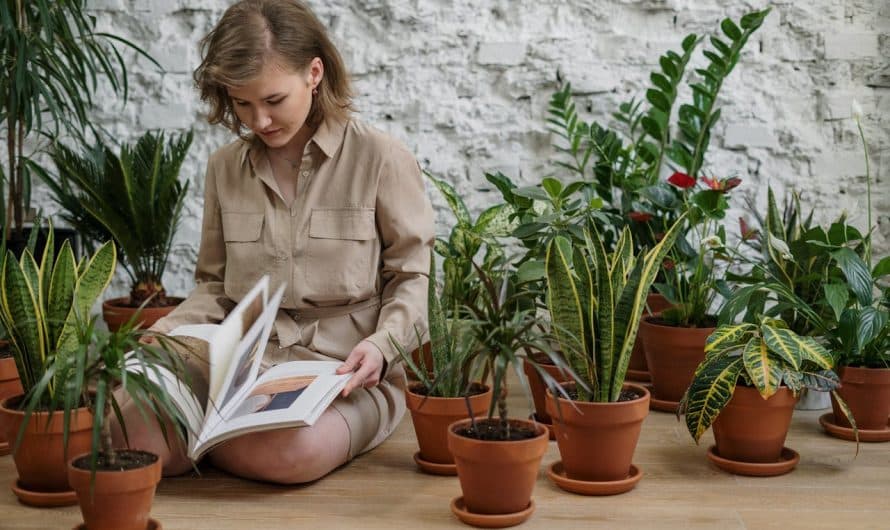 Les techniques de jardinage pour les débutants