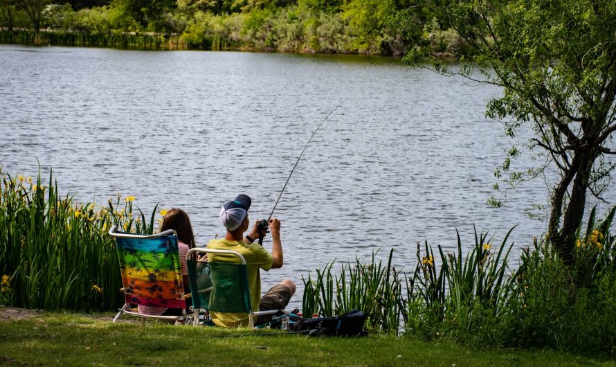 La pêche en rivière : astuces pour les débutants