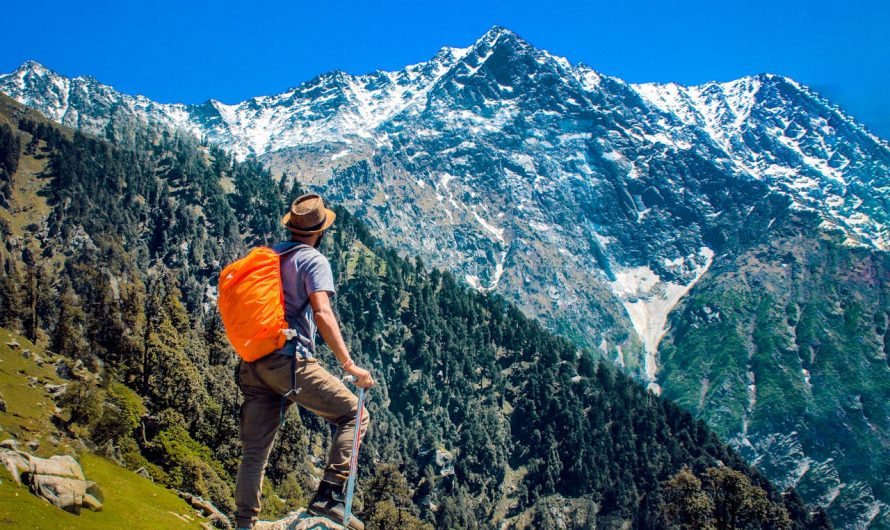 Les distinctions entre le trekking et la randonnée : un guide détaillé