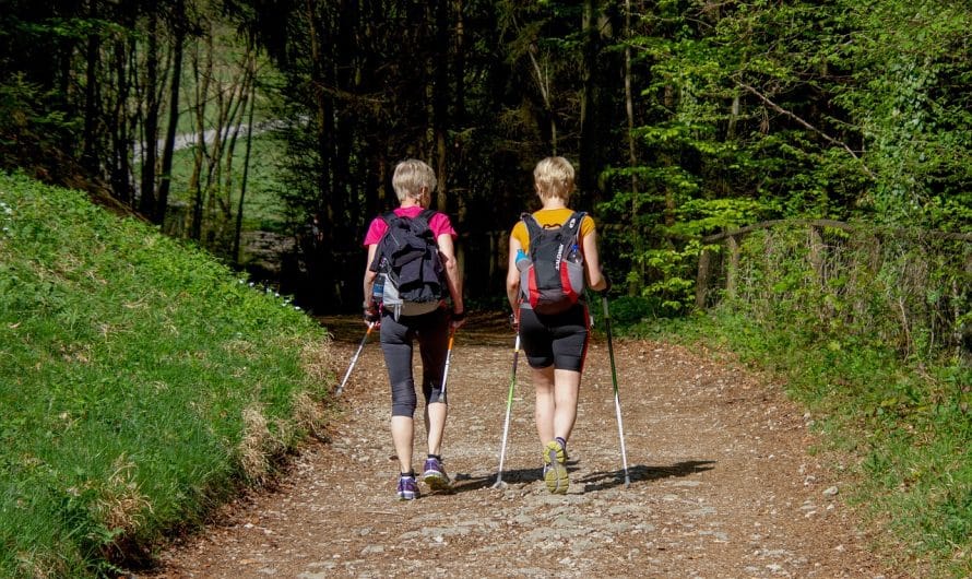 Les bienfaits insoupçonnés de la marche nordique pour la santé physique