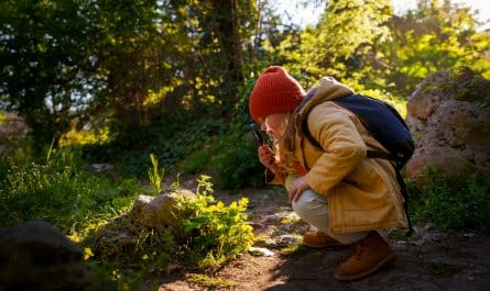 Des plantes comestibles