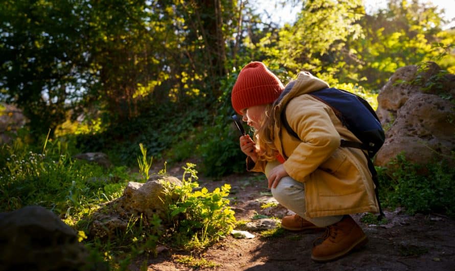 Identifier les plantes comestibles lors de randonnées : guide pratique