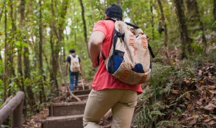 Sorties en nature