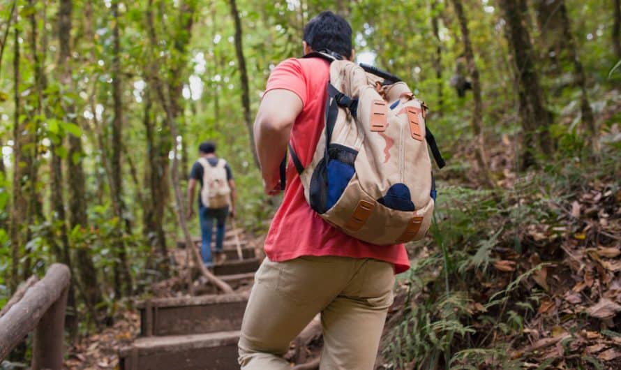 Les meilleures pratiques pour préserver l’environnement lors de sorties en nature