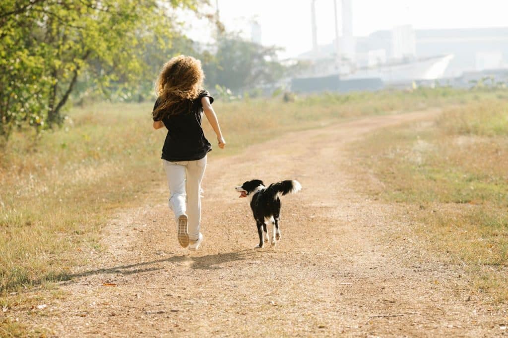 Sport en plein air avec son animal de compagnie