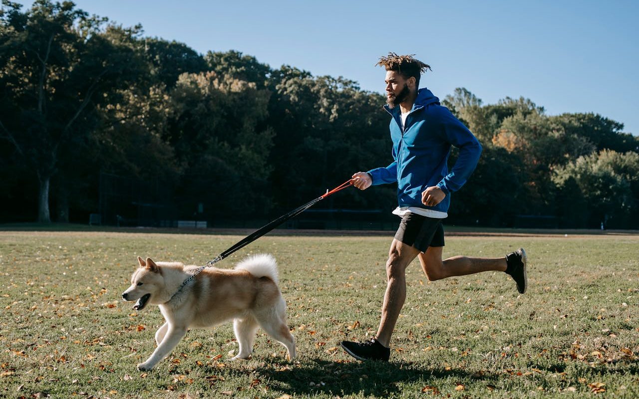 Sport en plein air avec son animal de compagnie