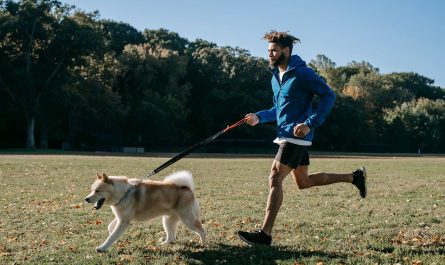 Sport en plein air avec son animal de compagnie