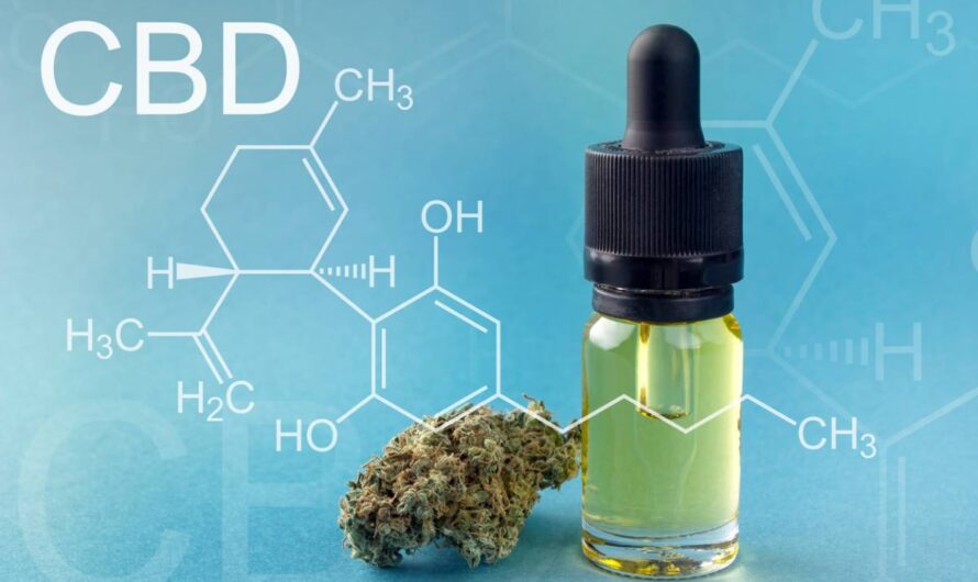 CBD : top 3 des produits préférés des consommateurs